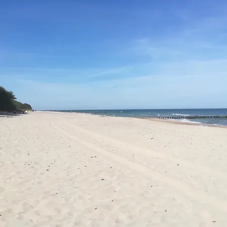 Domek letniskowy Holiday-camp *